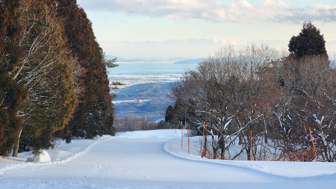 ❄️ 為什麼要去日本學滑雪?JapSnow為你精選6大雪場!
