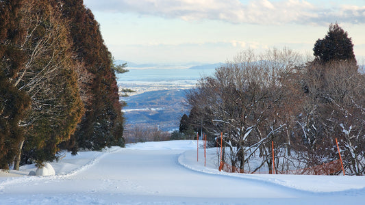 ❄️ 為什麼要去日本學滑雪？JapSnow為你精選6大雪場！