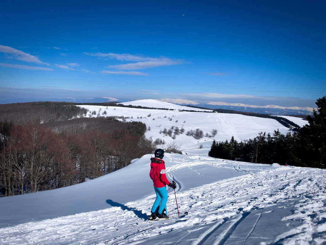 單板 VS 雙板滑雪｜新手應該怎麼選擇？一次搞懂優缺點！